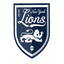 New York Lions CC Flag